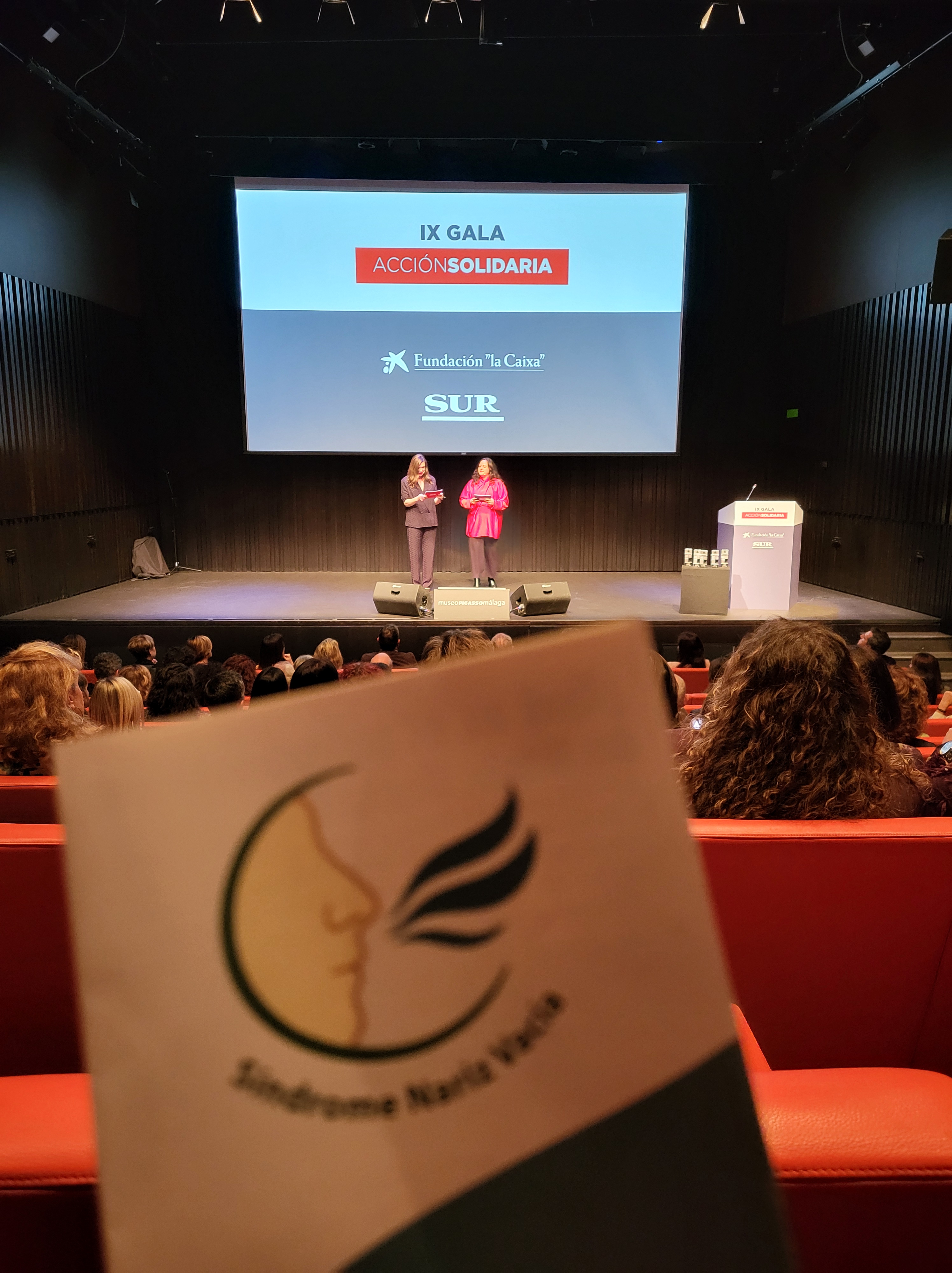 AESNV en la IX Gala de Acción Solidaria: aprender, escuchar y tejer comunidad